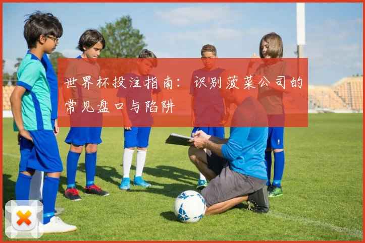 世界杯投注指南：识别菠菜公司的常见盘口与陷阱