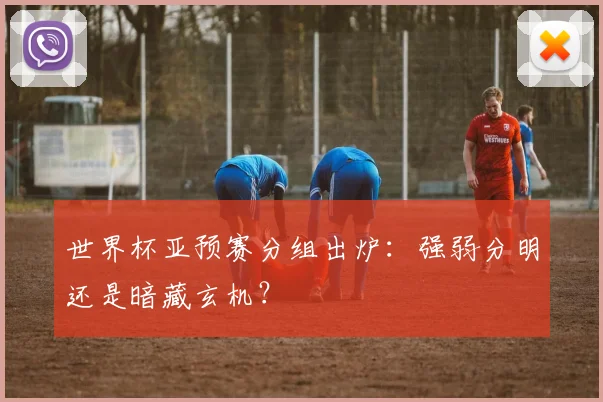 世界杯亚预赛分组出炉：强弱分明还是暗藏玄机？