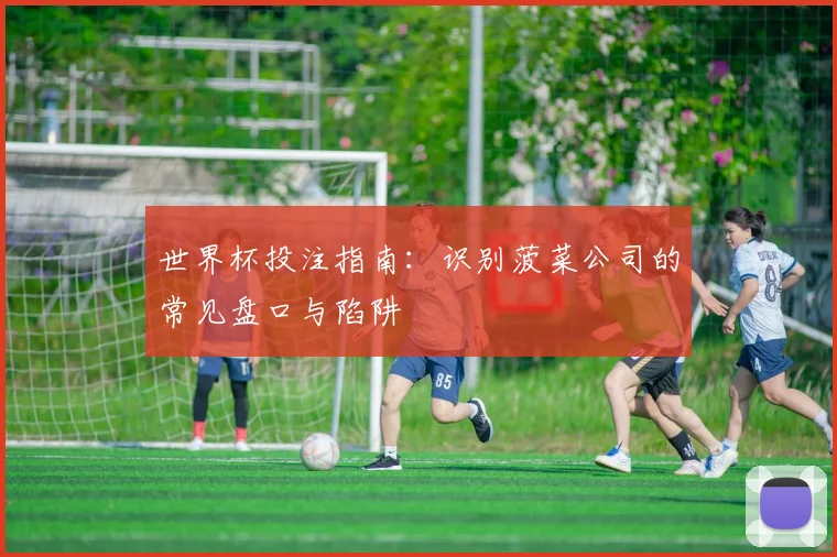 世界杯投注指南：识别菠菜公司的常见盘口与陷阱