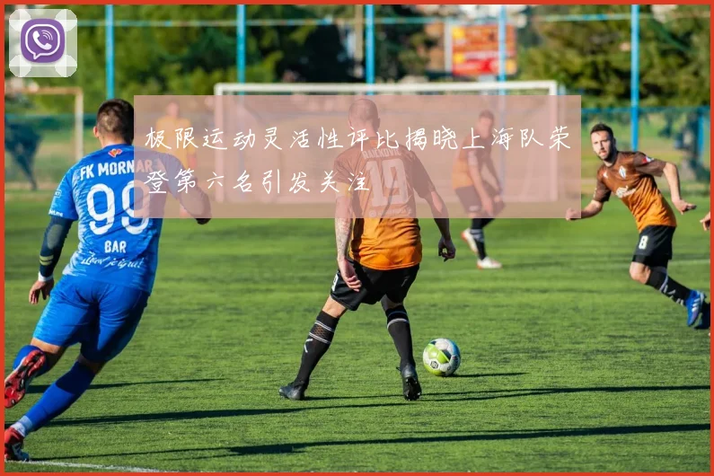 极限运动灵活性评比揭晓上海队荣登第六名引发关注