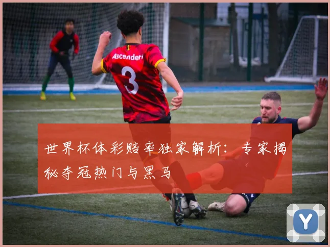 世界杯体彩赔率独家解析：专家揭秘夺冠热门与黑马
