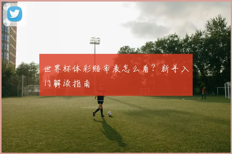 世界杯体彩赔率表怎么看?新手入门解读指南
