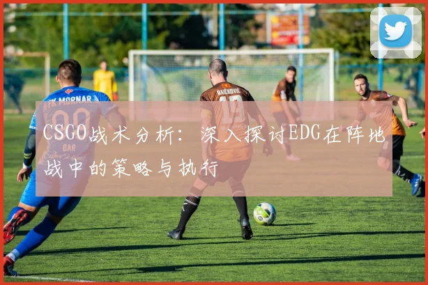 CSGO战术分析：深入探讨EDG在阵地战中的策略与执行