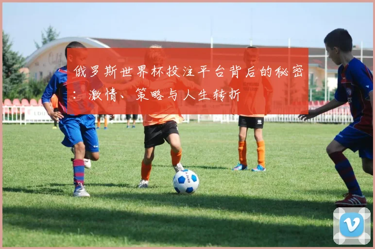 俄罗斯世界杯投注平台背后的秘密：激情、策略与人生转折